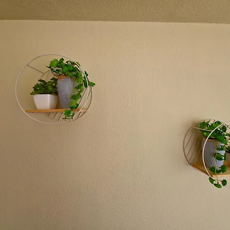 Sss Dreams Apartment Alicante