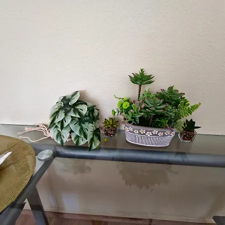 Apartamento Sss Dreams Alicante